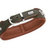 HUNTER München нашийник с апликации с дакели - Image 4