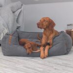 TRIXIE Легло за кучета Föhr 80 x 60 см, с дръжка – тъмносиво - Image 6