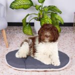 FERPLAST Легло за кучета и котки Relax - 78 x 50 см, бежово - Image 3