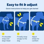 PetSafe Нагръдник за кучета Easy Walk - Image 8