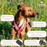 candyPet светлоотразителен Y-образен нагръдник - Image 3