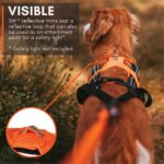 Non-stop dogwear Freemotion 5.0 теглещ нагръдник за кучета, черен/оранжев, размер 3 - Image 7