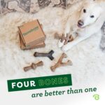 Benebone Играчка за кучета M 4 броя за кучета, които дъвчат интензивно до 27 кг - Image 5