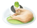 Catit Wellness Center за котки, 1 брой, многоцветен