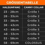 Canny Collar оглавник против дърпане за кучета - Image 9