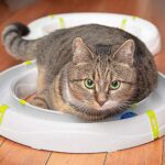 Ferplast TYPHON Модулна писта за котки с LED топка - Image 4