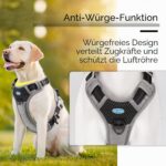 ThinkPet регулируем нагръдник с дръжка - Image 7