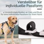 ThinkPet регулируем нагръдник с дръжка - Image 6