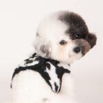 Puppia Serval B нагръдник за малки и средни кучета - Image 4