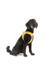 curli Clasp Air-Mesh нагръдник — цвят манго (Mango), S - Image 2