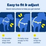 PetSafe Нагръдник за кучета Easy Walk - Image 8