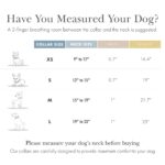 Nina Woof Cupertino нашийник от веганска кожа с държач за тракер - Image 2
