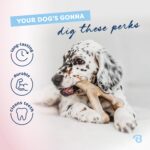 Benebone Кучешки кости за дъвчене 4 броя за нежни дъвчачи, размер S - Image 5