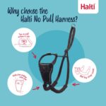 Halti No Pull комплект нагръдник и повод за обучение - Image 3