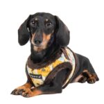 Puppia Alyssa B нагръдник тип жилетка - Image 5