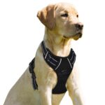BARKBAY нагръдник против дърпане с предна халка за повода