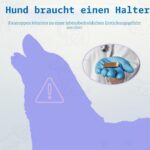 PetClan Chewise Държач за Були Стики, безопасен и издръжлив - Image 4