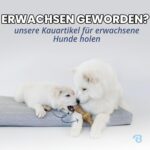 Benebone Кучешки кости за дъвчене 4 броя за нежни дъвчачи, размер S - Image 7