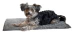 Kerbl Pet Superbed Постелка за кучета, 100 x 65 см, сива - Image 2