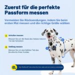 PetSafe Нагръдник 3в1, напълно регулируем, без дърпане, размер M - Image 6