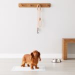 Amazon Basics Памучни пелени за кучета, 100 броя, 56 x 56 см, Сини/Бели - Image 7