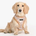 Puppia Kovo зимен нагръдник - Image 3