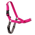 PetSafe Нагръдник за кучета Easy Walk