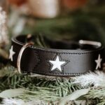 HUNTER Magic Star кожен нашийник за кучета - Image 3