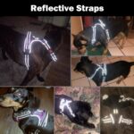 PHOEPET нагръдник със светлоотразителни елементи - Image 5