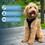 Best Pet Supplies Voyager регулируем нагръдник - Image 2