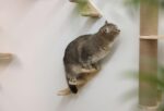 Kerbl Играчка за котки Стълб за драскане Timber - Image 4