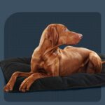 MABOZOO Легло за кучета, устойчиво на дъвчене, размер M, черно, 45,7 x 73,7 см - Image 9