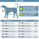 ThinkPet комплект нагръдник и повод - Image 6