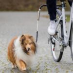 TRIXIE Biker-Set комплект за водене на куче до велосипед, S–M, за седалкови тръби до Ø 32 мм - Image 2