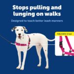 PetSafe Нагръдник за кучета Easy Walk - Image 3