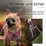 ThinkPet комплект нагръдник и повод - Image 5