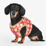 Puppia Stefan B нагръдник за кучета - Image 4