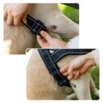 Eeyfarog нагръдник против дърпане - Image 9