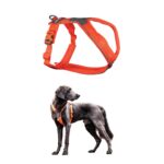 Non-stop dogwear Line 5.0 нагръдник