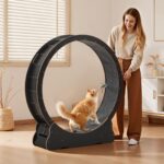 VEVOR Котешко колело, 118 см, дървено за котки до 13,6 кг, черно - Черен, 52 x 13,3 x 55,7 инча / 1320 x 338 x 1415 мм - Image 8
