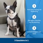 PetSafe 3-в-1 нашийник, размер M, черен - Image 4