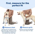 PetSafe Нагръдник за кучета Easy Walk - Image 2