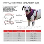 Puppia Junior нагръдник за малки кучета - Image 8