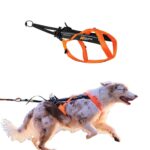 Non-stop dogwear Freemotion 5.0 теглещ нагръдник за кучета, черен/оранжев, размер 3