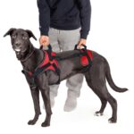 Doggie Stylz Мултифункционален нагръдник за кучета, размер L