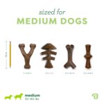 Benebone Играчка за кучета M 4 броя за кучета, които дъвчат интензивно до 27 кг - Image 4