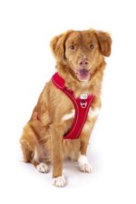 curli Belka Adjustable Neck нагръдник с регулиране около врата - Image 6
