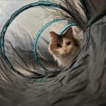 Bemodst тунел за котки, с 5 разклонения, сгъваем, интерактивна играчка - Image 8