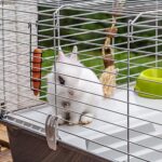 FERPLAST Клетка за зайци RABBIT 100, метална, 95×57×46 см, с аксесоари - Image 4