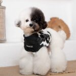 Puppia Нагръдник Serval J за малки и средно големи кучета, Черен, L - Image 3